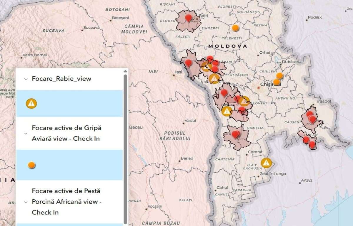 В Молдове зафиксированы новые вспышки опасных заболеваний животных - agroexpert.md
