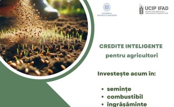 IFAD предлагает аграриям льготное финансирование оборотных средств - agroexpert.md 