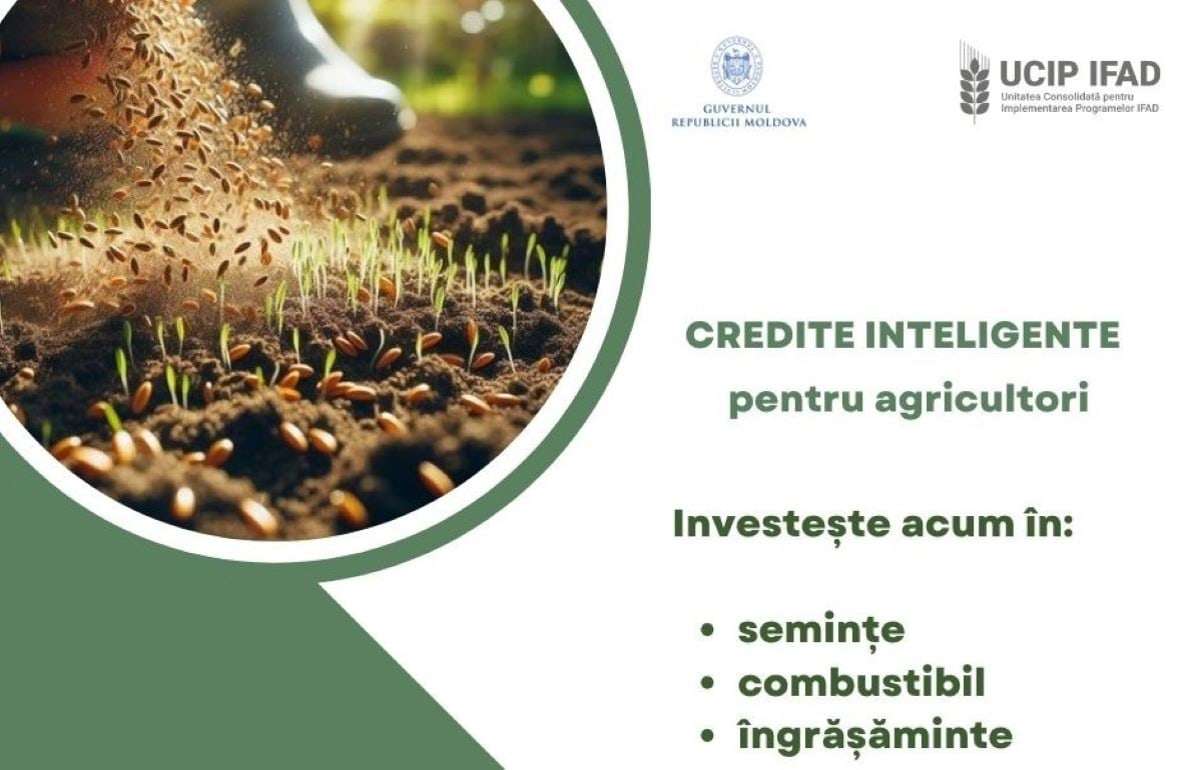 IFAD предлагает аграриям льготное финансирование оборотных средств - agroexpert.md 