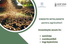 IFAD предлагает аграриям льготное финансирование оборотных средств - agroexpert.md 