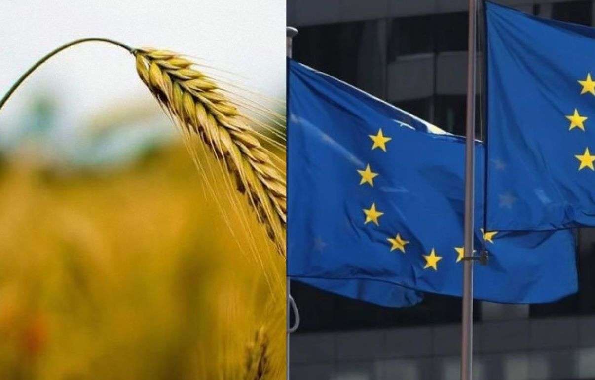 В ЕС ожидают снижение урожая зерновых: первые прогнозы на 2026 год - agroexpert.md