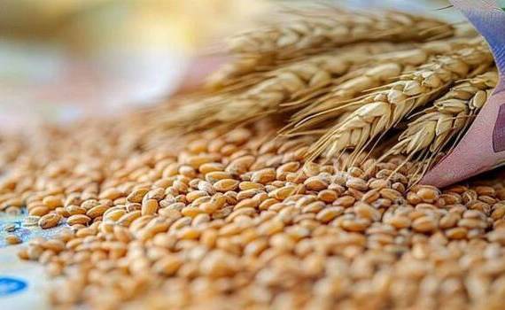 С начала сезона Евросоюз экспортировал почти 22 млн т зерна - agroexpert.md