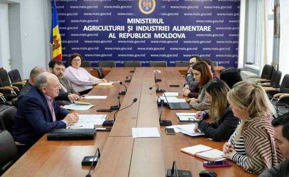Молдова усиливает регуляторную поддержку переработчиков фруктов и овощей - agroexpert.md