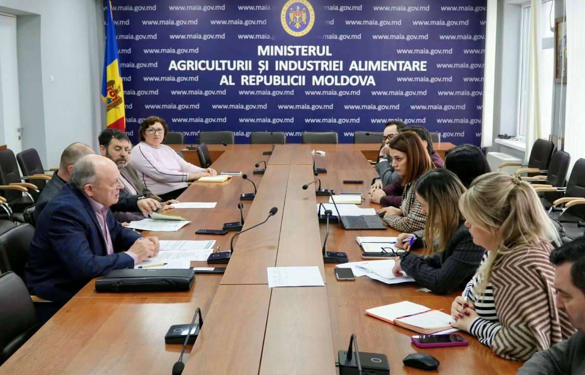 Молдова усиливает регуляторную поддержку переработчиков фруктов и овощей - agroexpert.md