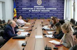 Молдова усиливает регуляторную поддержку переработчиков фруктов и овощей - agroexpert.md