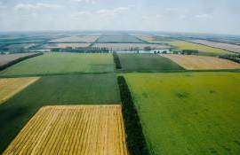 Стоимость сельскохозяйственных земель в ЕС продолжает расти - agroexpert.md