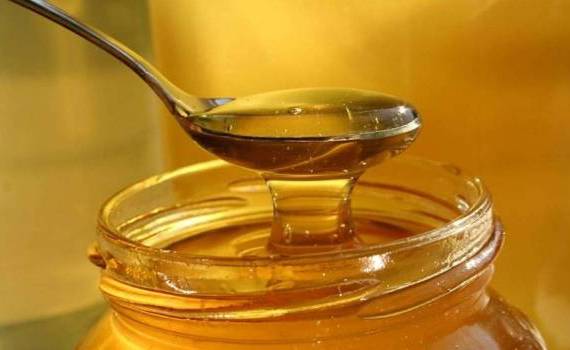 Prețul mierii s-a stabilizat - agroexpert.md