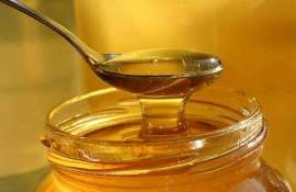 Prețul mierii s-a stabilizat - agroexpert.md