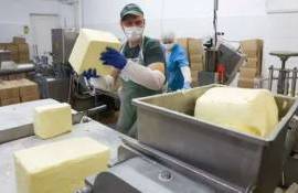 В ЕС стоимость сливочного масла упала до минимума за три года - agroexpert.md