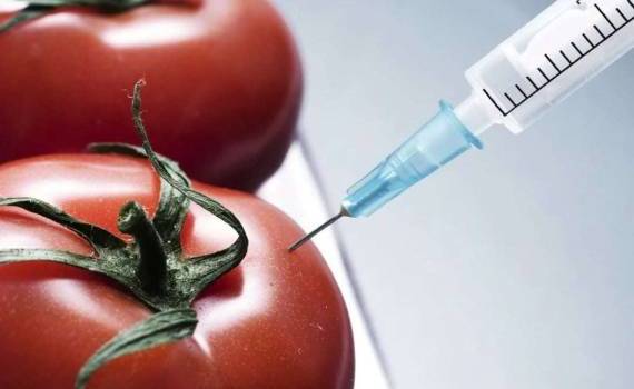 Смягчение регулирования ГМО в ЕС — еще один шаг вперед - agroexpert.md