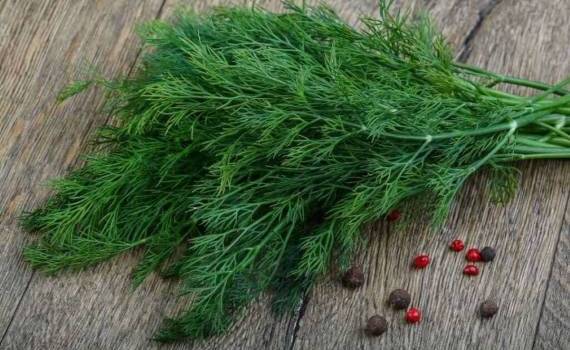 ANSA уничтожила крупную партию укропа из-за опасного уровня пестицидов - agroexpert.md