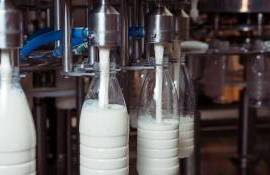 Цены на молоко в Молдове могут снизиться вслед за украинским рынком - agroexpert.md