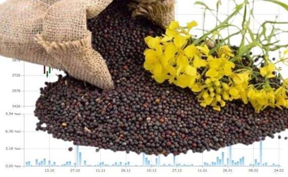 MATIF: Рапсовые контракты теряют на фоне рыночных ожиданий - agroexpert.md