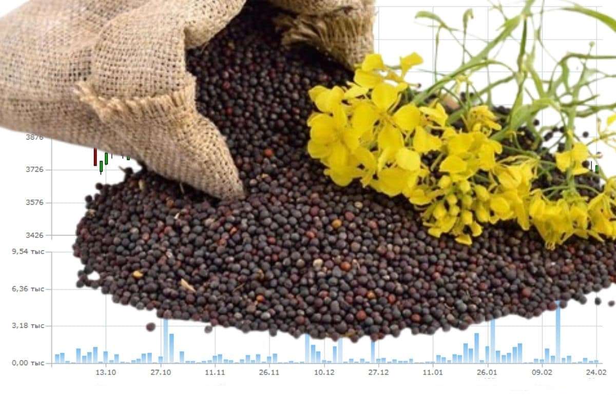 MATIF: Рапсовые контракты теряют на фоне рыночных ожиданий - agroexpert.md