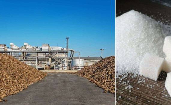 С 2017 года в странах ЕС прекратили работу 20 сахарных заводов - CEFS - agroexpert.md