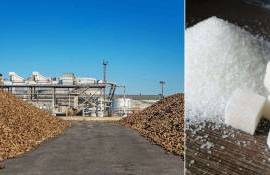 С 2017 года в странах ЕС прекратили работу 20 сахарных заводов - CEFS - agroexpert.md