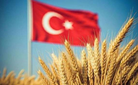 Зерновые перспективы Турции улучшаются благодаря нормализации осадков - agroexpert.md
