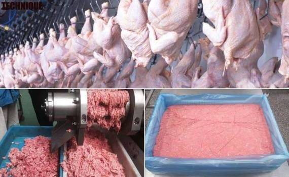 В Молдове задержали 21 тонну куриного мяса, заражённого сальмонеллой - agroexpert.md