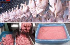 В Молдове задержали 21 тонну куриного мяса, заражённого сальмонеллой - agroexpert.md