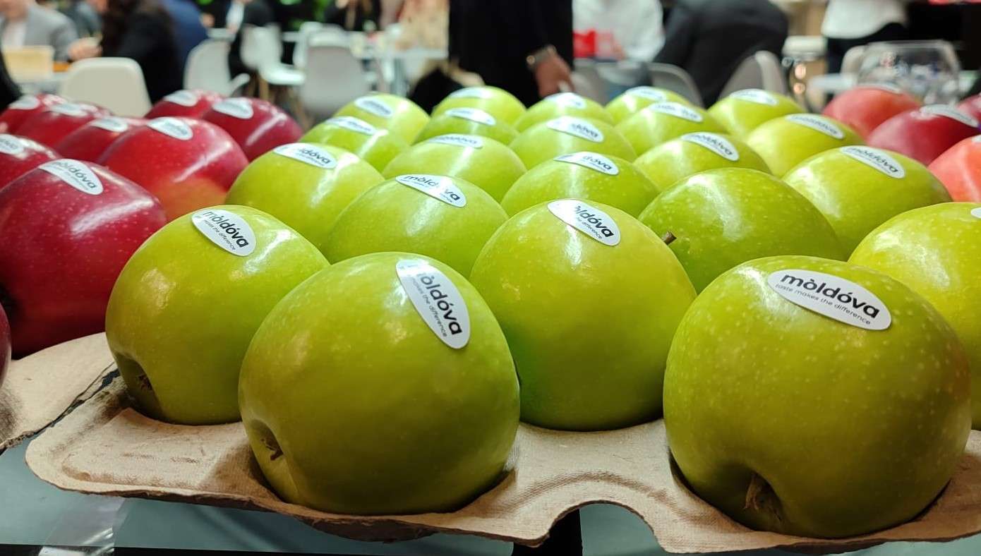 Fructe moldovenești la expoziția din Berlin- AGROEXPERT.MD