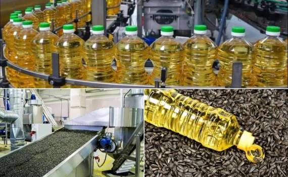 Почему переработка подсолнечника в ЕС обновила антирекорд - agroexpert.md