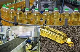 Почему переработка подсолнечника в ЕС обновила антирекорд - agroexpert.md