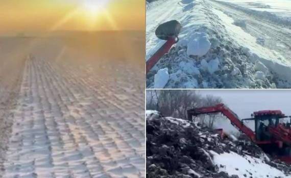 Сахарная свекла: экстремальная уборка в Молдове зимой 2026 года - agroexpert.md