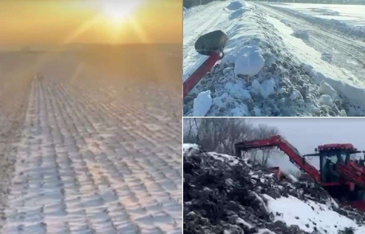 Сахарная свекла: экстремальная уборка в Молдове зимой 2026 года - agroexpert.md