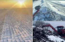 Сахарная свекла: экстремальная уборка в Молдове зимой 2026 года - agroexpert.md