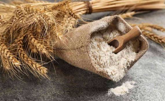 Agroexpert: Exportul de făină de grâu din R. Moldova