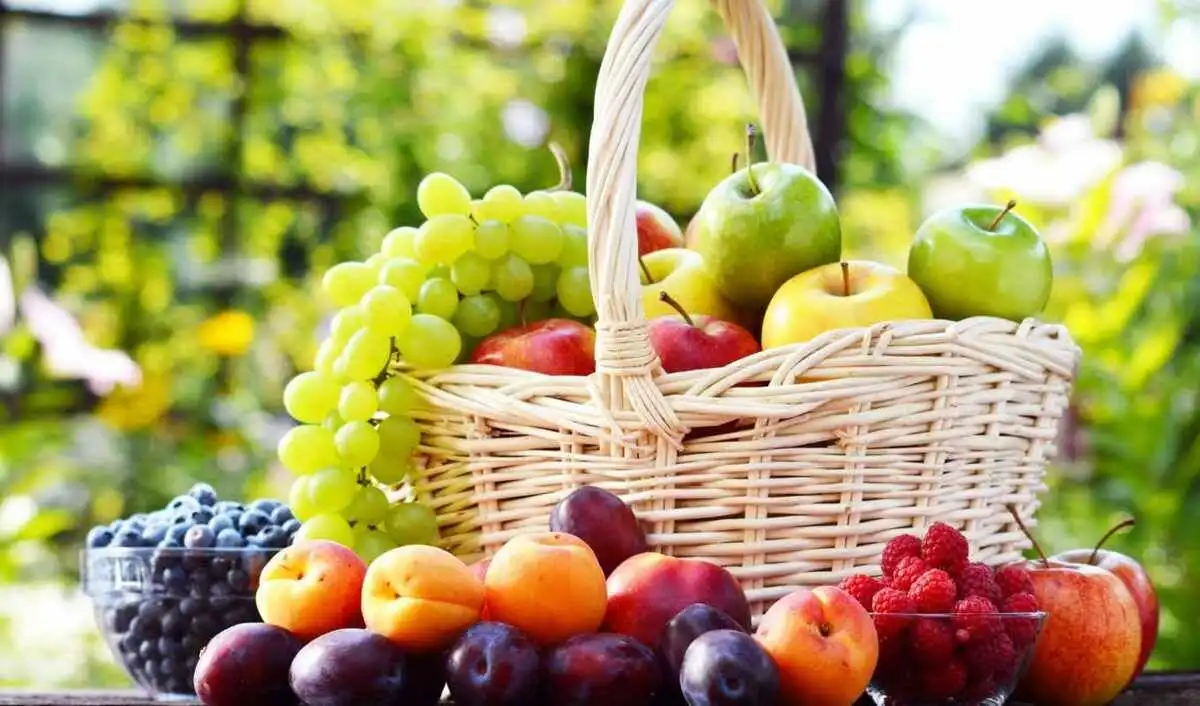 Volumul stocurilor de mere, prune și struguri de masă în depozitele din Moldova