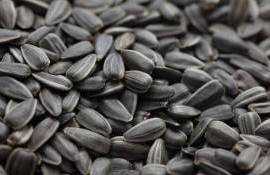 loarea-soarelui pe fondul cererii turcești - agroexpert.md