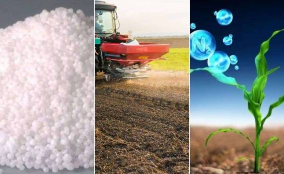 Рынок карбамида Молдовы: портрет импортных потоков в 2025 году - agroexpert.md