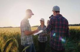 CCAR: Индивидуальное консультирование для вашего фермерского хозяйства - agroexpert.md