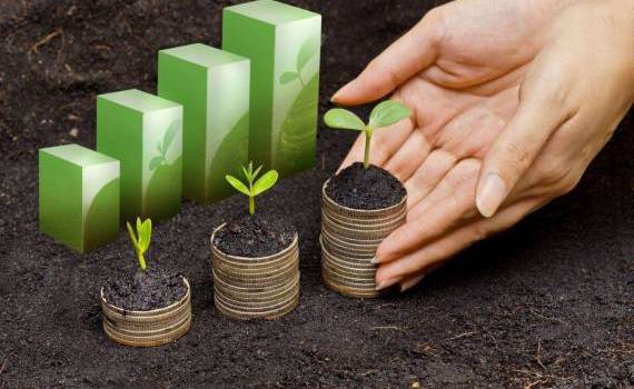 valoarea primei de asigurare agricolă- AGROEXPERT.MD