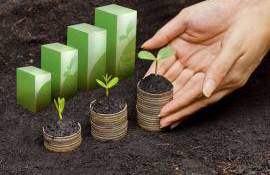 valoarea primei de asigurare agricolă- AGROEXPERT.MD