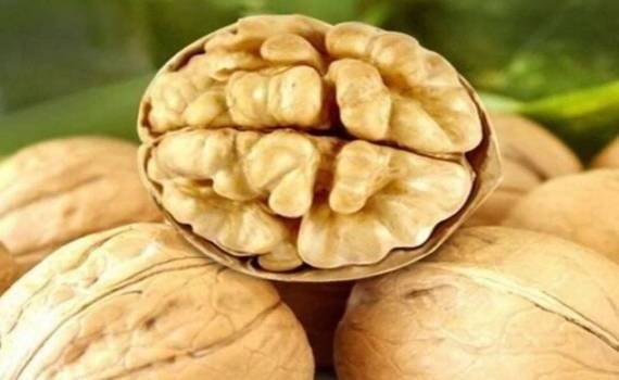 Китайский грецкий орех становится «новой нормой» для рынка ЕС - agroexpert.md