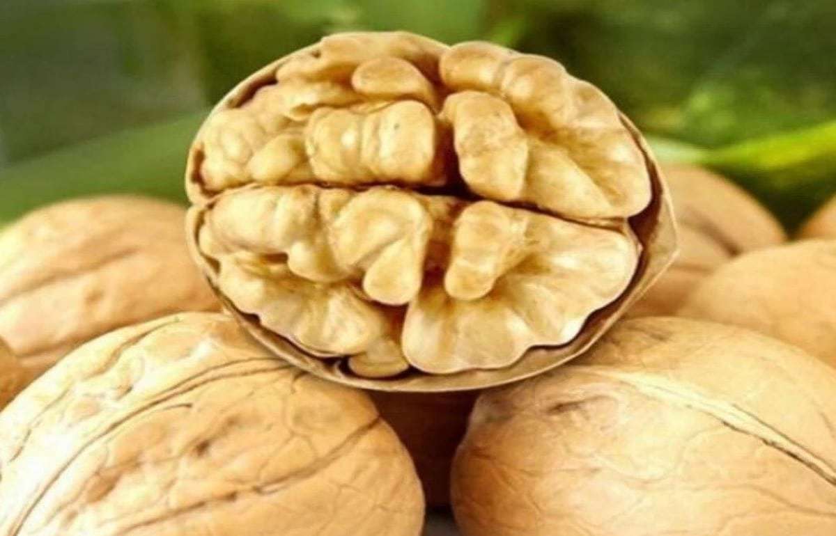 Китайский грецкий орех становится «новой нормой» для рынка ЕС - agroexpert.md