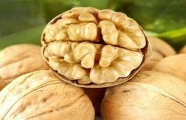 Китайский грецкий орех становится «новой нормой» для рынка ЕС - agroexpert.md