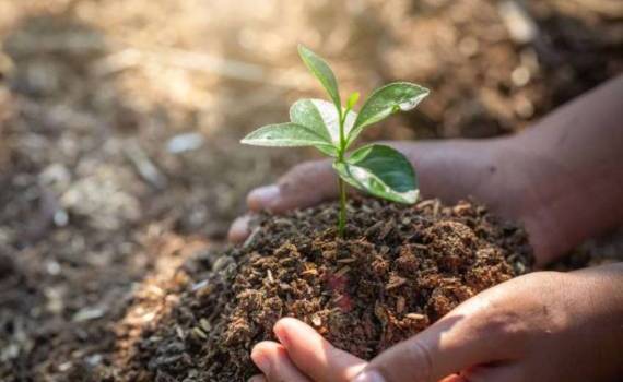 Евросоюз изменил правила применения удобрений изготовленных из навоза - agroexpert.md