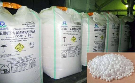 Рынок нитрата аммония Молдовы 2025: структурные сдвиги и колебания цен - agroexpert.md