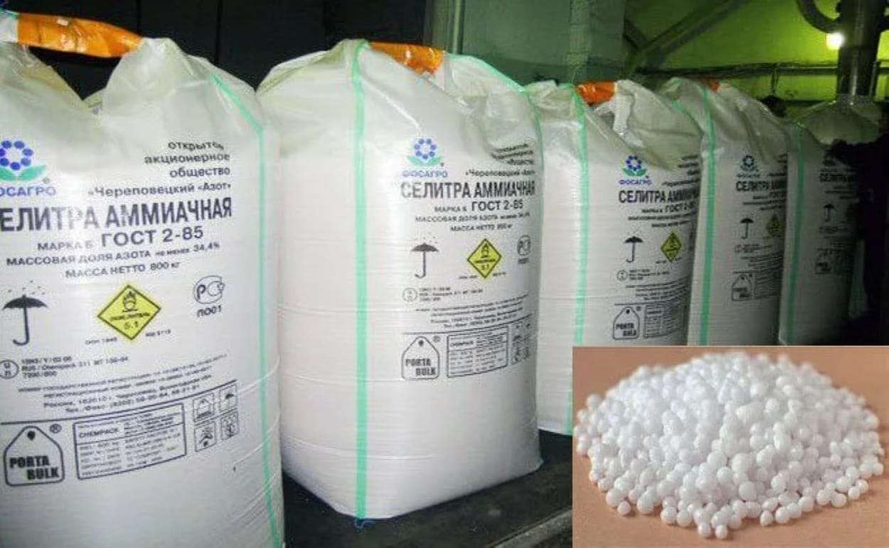 Рынок нитрата аммония Молдовы 2025: структурные сдвиги и колебания цен - agroexpert.md