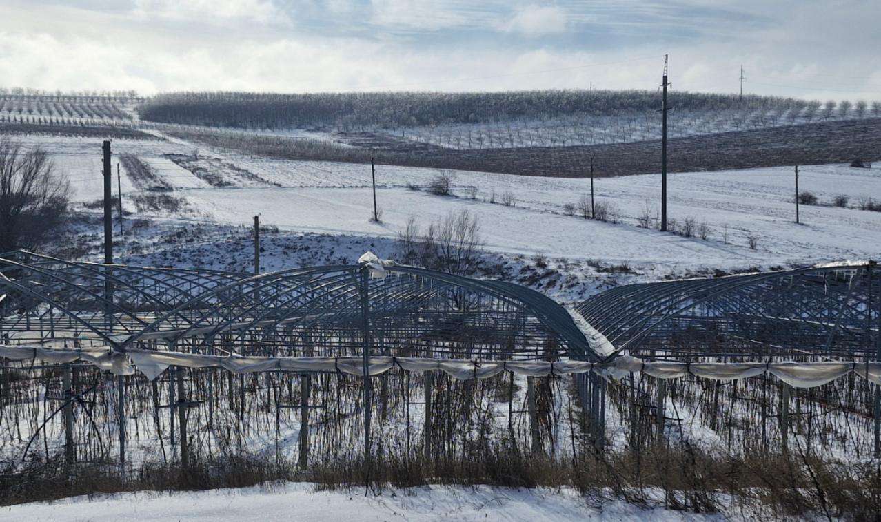 stații meteo și irigare la pomusoare -AGROEXPERT.MD 