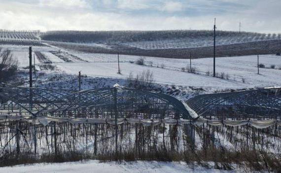 stații meteo și irigare la pomusoare -AGROEXPERT.MD 