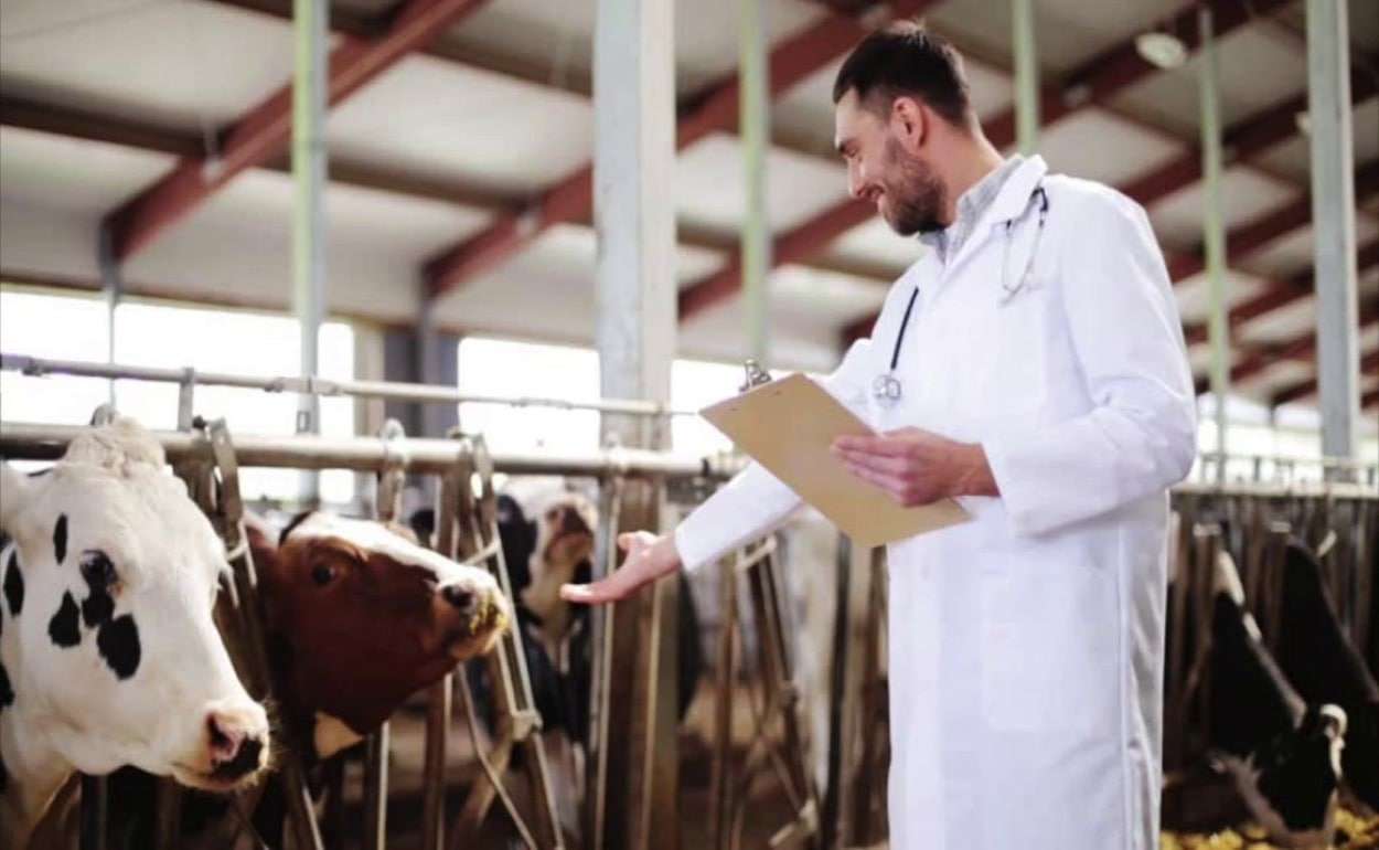 Меры поддержки для молодых ветеринаров Молдовы начинают работать - agroexpert.md