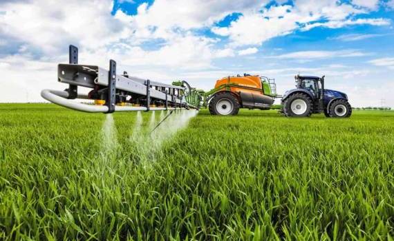 ЕС рискует потерять часть производства пшеницы из-за запрета пестицидов - agroexpert.md