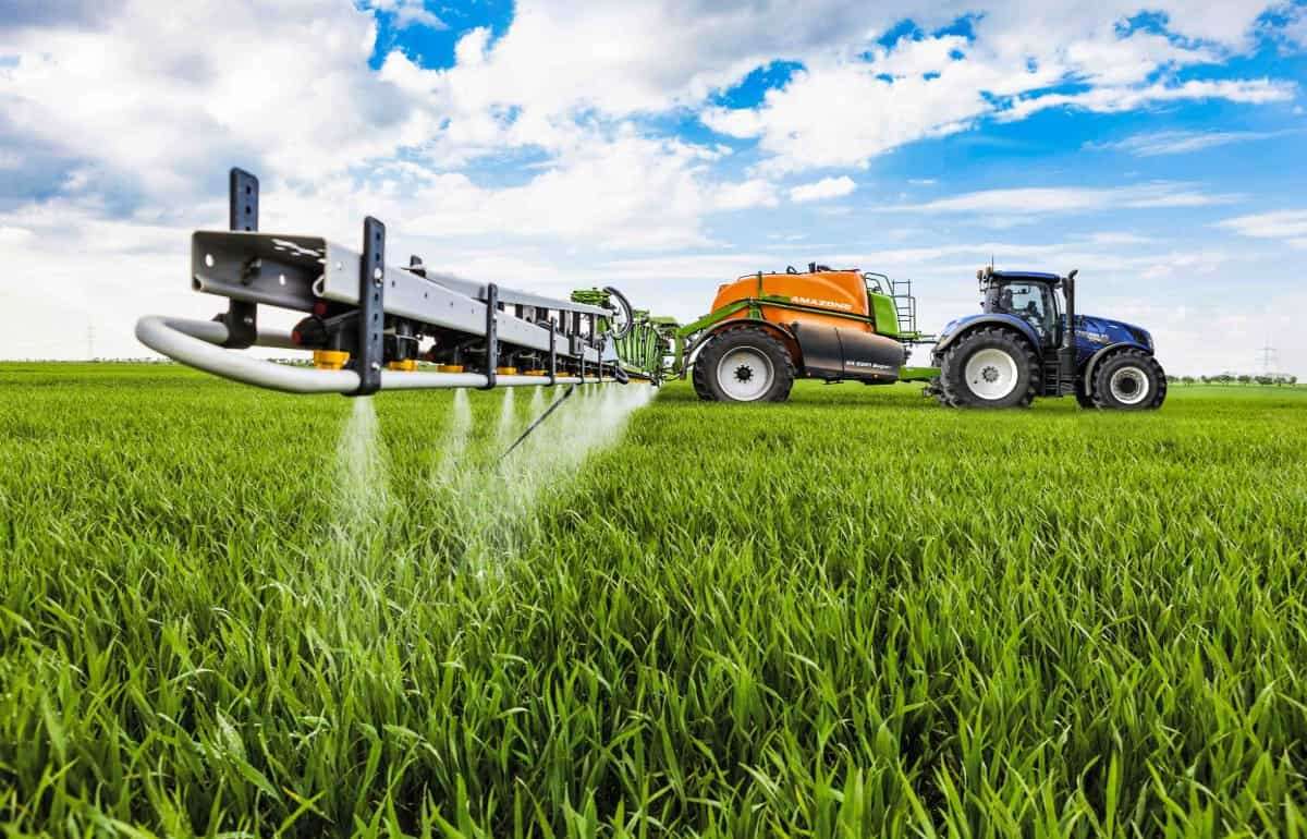 ЕС рискует потерять часть производства пшеницы из-за запрета пестицидов - agroexpert.md