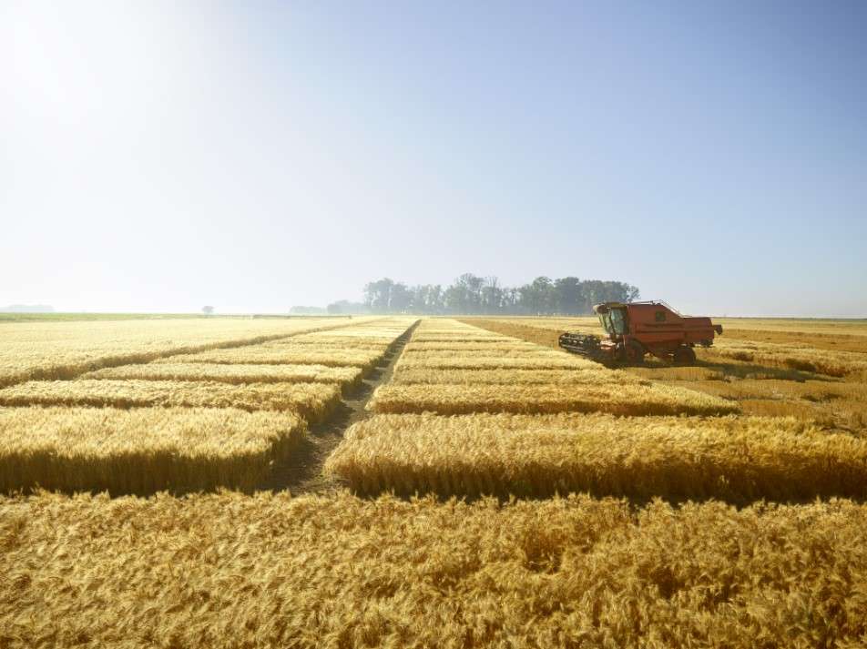 productivitatea și leadershipul la cereale corteva - agroexpert.md