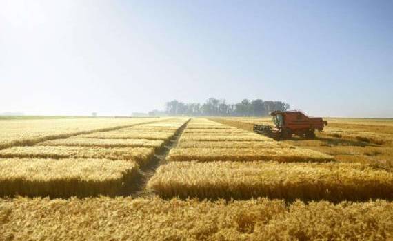 productivitatea și leadershipul la cereale corteva - agroexpert.md