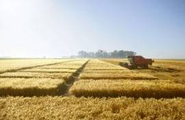 productivitatea și leadershipul la cereale corteva - agroexpert.md